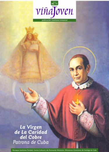 Cubierta del nro 17 de la revista Viña Joven