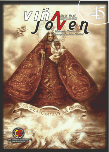 Cubierta del nro 45 de la revista Viña Joven