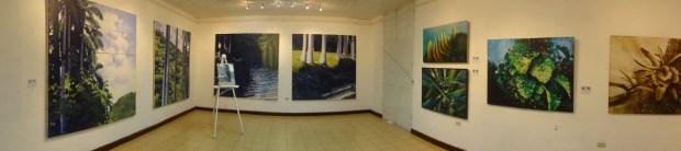 Vista panorámica de la exposición