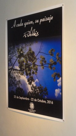 Cartel de la expo personal del artista Rodolfo Valdés Montes de Oca, "A cada quien, su paisaje"