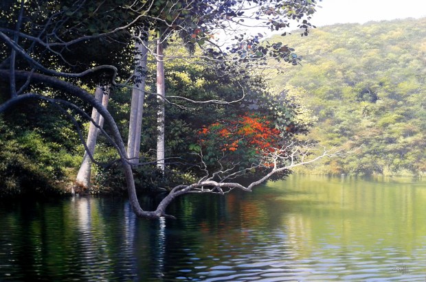 No me pongan en lo oscuro, 2015. Óleo / lienzo, 80 x 120 cm